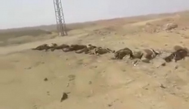 Video: Hàng trăm chiến binh IS chết la liệt sau trận đánh ảnh 2