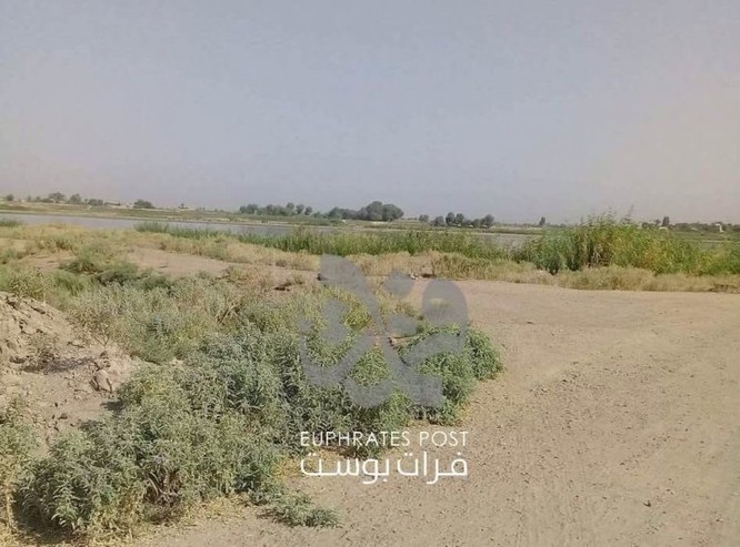 “Hổ Syria” chuẩn bị vượt sông Euphrates tấn công phiến quân IS ảnh 4