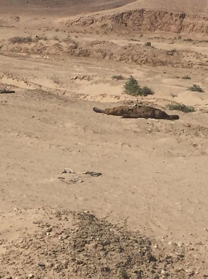 Tập kích thất bại, hàng chục tay súng IS nộp mạng tại Al-Sukhnah ảnh 2