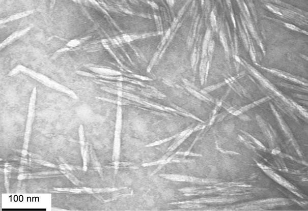 Sử dụng tinh thể nano cellulose từ bột gỗ chế tạo lớp phủ trong bao bì thân thiện môi trường ảnh 2