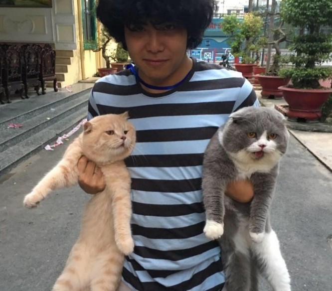 Chú mèo tên Chó ở Hải Phòng gây sốt trên Internet vì 'thần thái' quá dễ thương - Ảnh 3