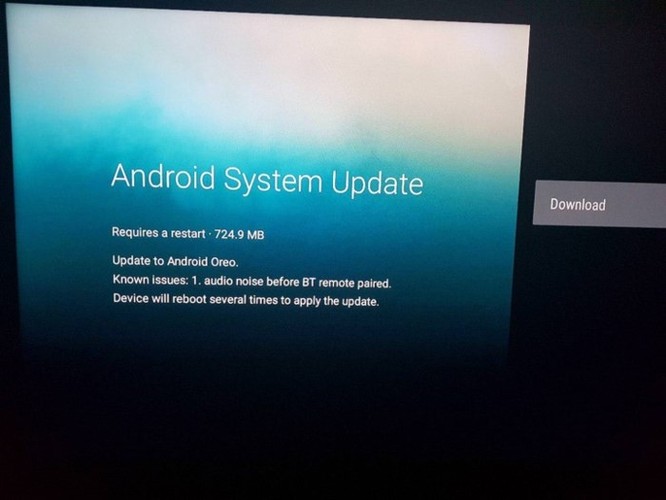 Xiaomi bất ngờ cập nhật Android 8.0 cho Mi Box 4K ảnh 2