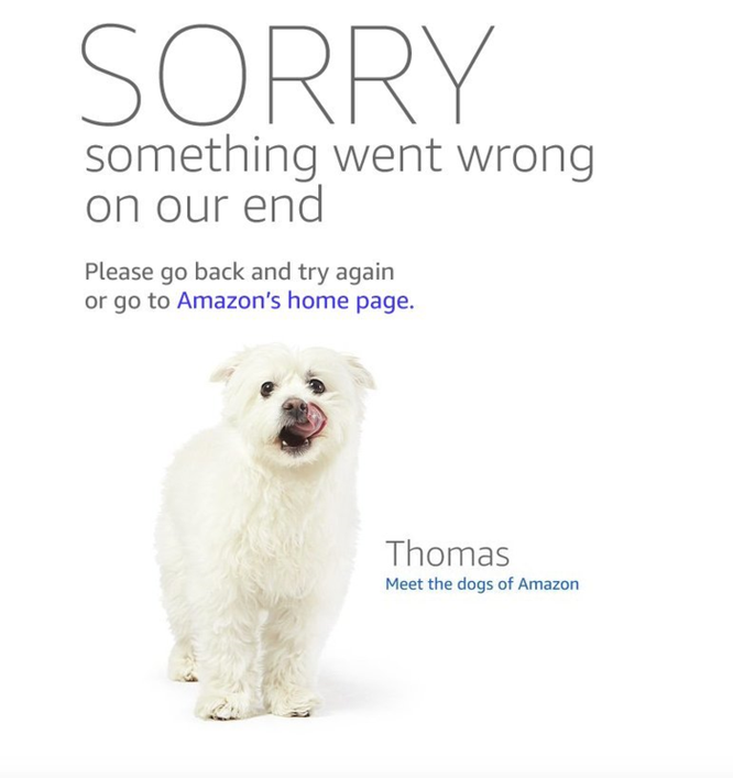 Vì sao bạn nhìn thấy ảnh chú chó khi website Amazon bị sập? ảnh 1