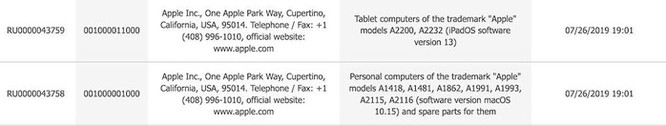 Hai mẫu iPad mới có thể được Apple sớm ra mắt ảnh 2