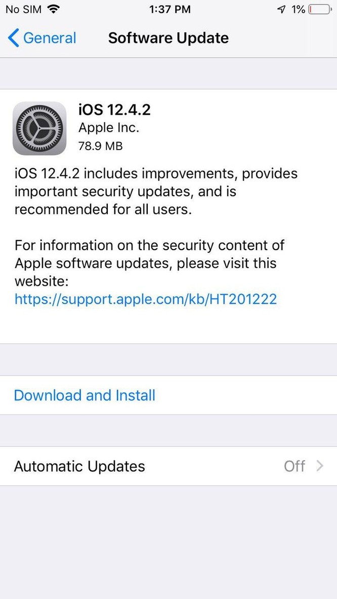 Apple phát hành iOS 12.4.2 cho iPhone, iPad đời cũ ảnh 1