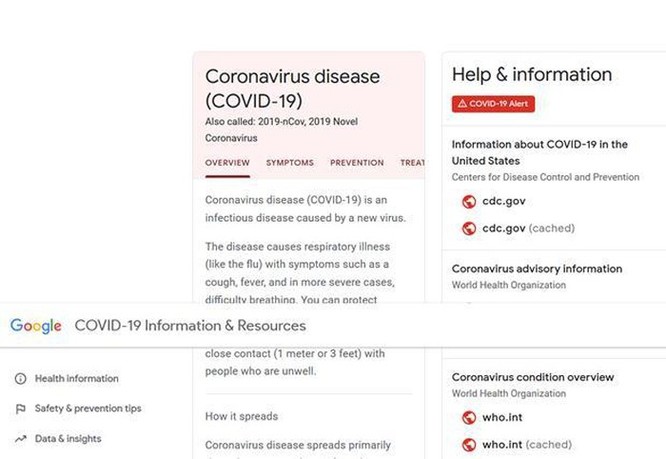 Google ra mắt trang web phổ biến kiến thức về đại dịch COVID-19 ảnh 1