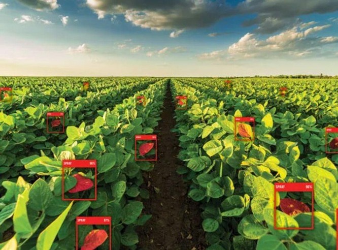 5 cách mà công nghệ 5G sẽ làm thay đổi lĩnh vực nông nghiệp ảnh 1