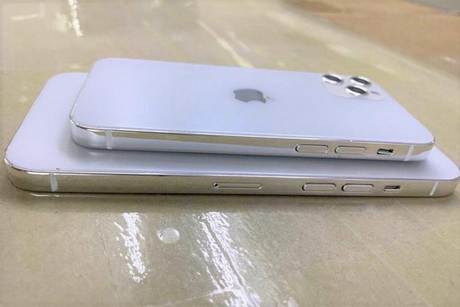 iPhone 12 sẽ có giá dưới 550 USD, ra mắt vào tháng 9? ảnh 1