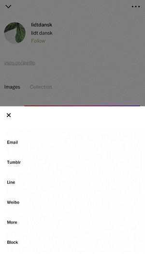 VSCO cho iPhone hỗ trợ ảnh GIF, chặn người dùng không mong muốn ảnh 2
