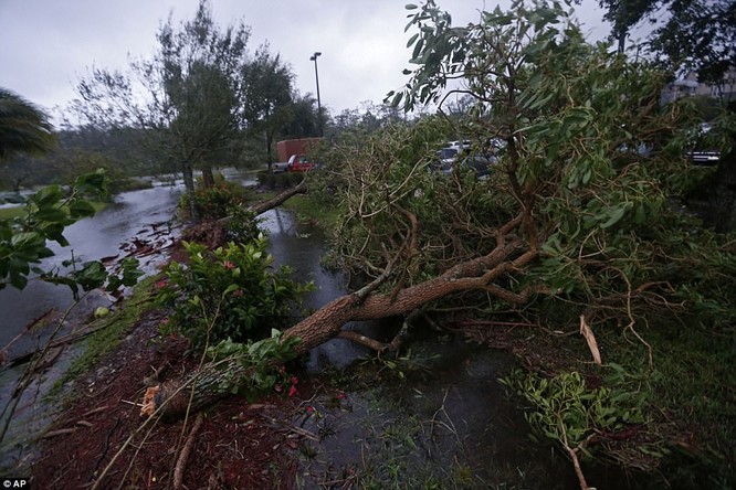 "Quái vật" Irma cuồng nộ khiến Florida (Mỹ) tan hoang ảnh 2