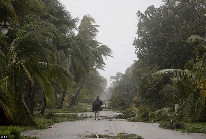 "Quái vật" Irma cuồng nộ khiến Florida (Mỹ) tan hoang ảnh 3