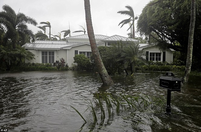 "Quái vật" Irma cuồng nộ khiến Florida (Mỹ) tan hoang ảnh 4