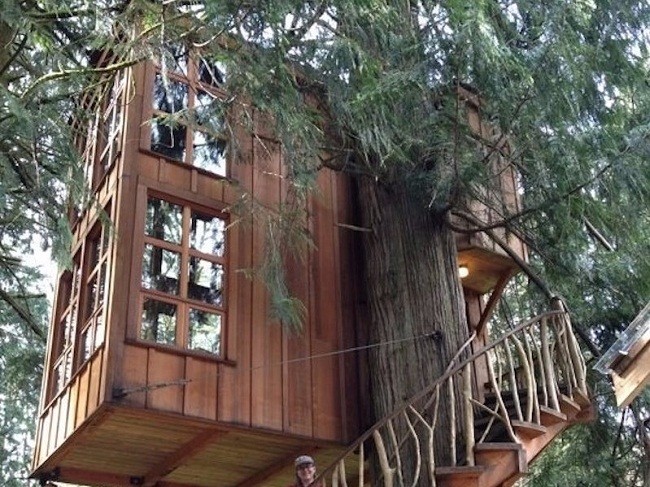 35 ngôi nhà trên cây tuyệt đẹp khiến bạn muốn sống thử một lần ảnh 19