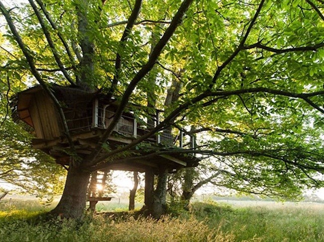 35 ngôi nhà trên cây tuyệt đẹp khiến bạn muốn sống thử một lần ảnh 31