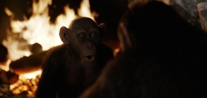Phim “Kong: Đảo đầu lâu” sẽ thắng giải Oscar 2018 vào rạng sáng mai? ảnh 5