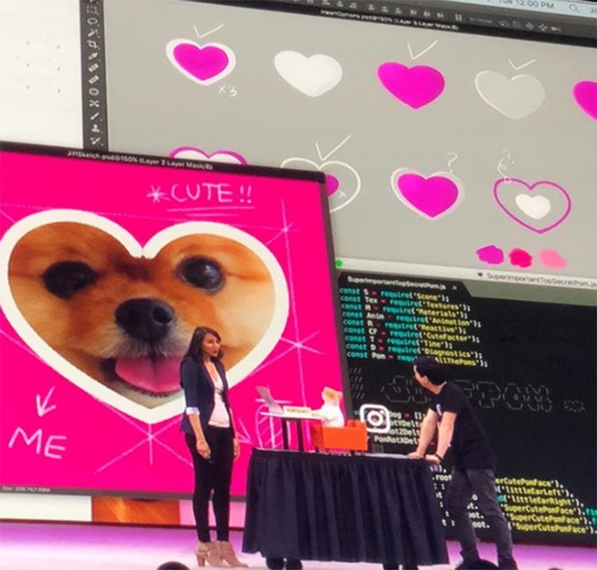 Chú chó Jiff Pom nổi tiếng ra sao mà được xuất hiện trong sự kiện lớn nhất năm của Facebook? ảnh 6