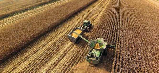 Cuộc chiến thương mại nông nghiệp của ông Trump đã “phủ sóng” toàn cầu ảnh 11