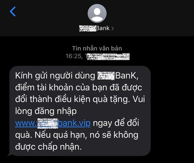 Cảnh báo thủ đoạn gửi tin nhắn giả danh ngân hàng để lừa đảo dịp cuối năm ảnh 2