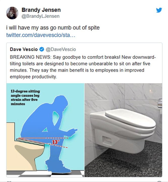Để ngăn ngừa nhân viên sử dụng điện thoại thông minh lúc đi vệ sinh, một công ty đã thiết kế ra toilet khiến nhân viên không thể ngồi quá 5 phút ảnh 2