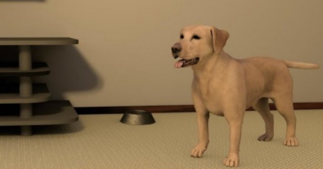 Chó “ảo” dạy con người cách tránh bị chó thật cắn ảnh 1