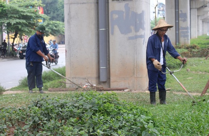 Ngày 10/10, theo ghi nhận của PV các công nhân của Công ty TNHH MTV Công viên Cây Xanh bắt đầu cắt cỏ trên các tuyến đường như Trần Duy Hưng, Nguyễn Chí Thanh và đoạn Thái Thịnh (gầm cầu đường sắt Cát Linh- Hà Đông).