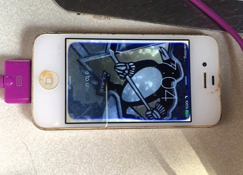 iPhone 4 ngâm một năm dưới hồ vẫn sống sót ảnh 1