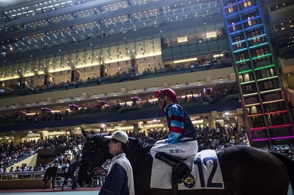 Ngành kinh doanh đua ngựa tỷ USD ở Hong Kong ảnh 1