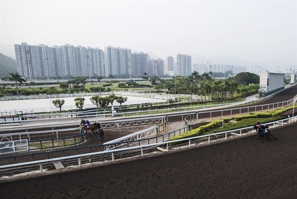 Ngành kinh doanh đua ngựa tỷ USD ở Hong Kong ảnh 4