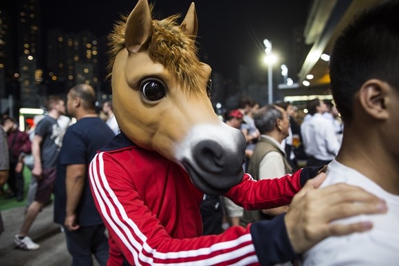 Ngành kinh doanh đua ngựa tỷ USD ở Hong Kong ảnh 11