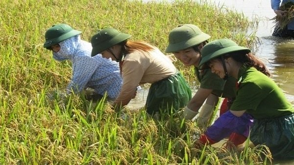 “Khát vọng Việt Nam” và “tụt hậu không còn là nguy cơ”