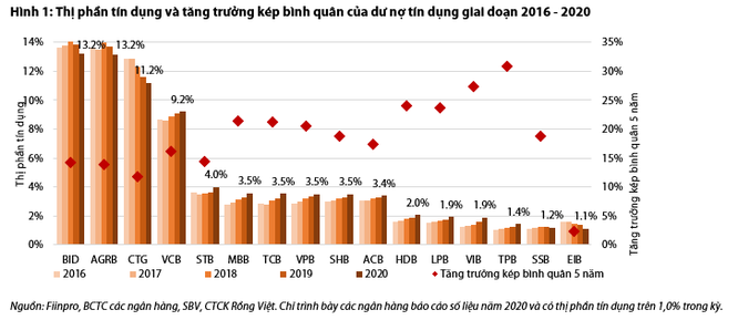 Cận cảnh thị phần tín dụng của các ngân hàng Việt ảnh 1