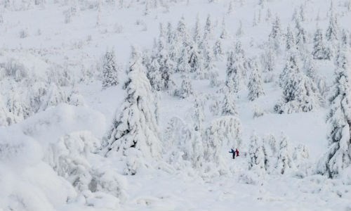 Mùa đông băng tuyết ở Gausdal, Lillehammer, Na Uy, ngày 9/1/2016.