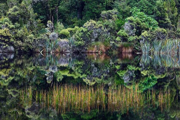 Ảnh đẹp: Thiên nhiên kỳ vĩ của New Zealand ảnh 1