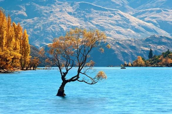 Ảnh đẹp: Thiên nhiên kỳ vĩ của New Zealand ảnh 13