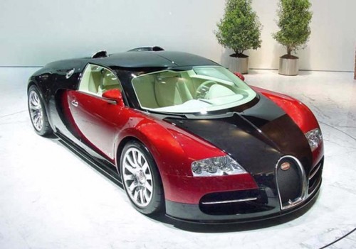 10 người nổi tiếng đang sở hữu Bugatti Veyron siêu đắt ảnh 9