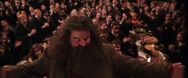 Tái hiện bộ truyện Harry Potter qua 100 khoảnh khắc đẹp nhất ảnh 19