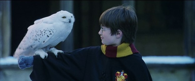 Tái hiện bộ truyện Harry Potter qua 100 khoảnh khắc đẹp nhất ảnh 7