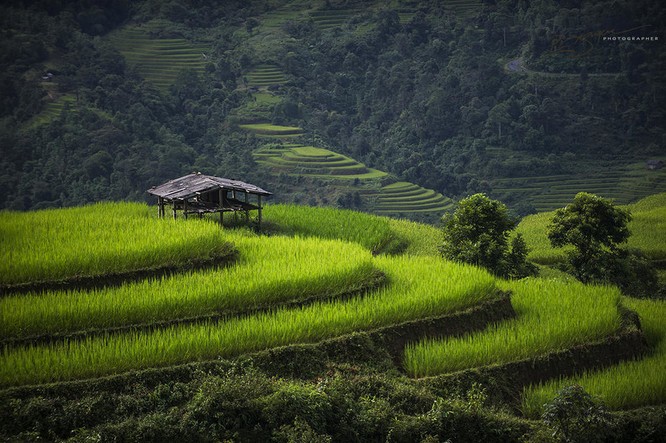 Việt Nam tuyệt đẹp trên Photography Life ảnh 3