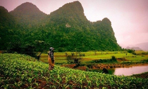 Việt Nam đẹp lạ trong mắt sao Hollywood ảnh 9