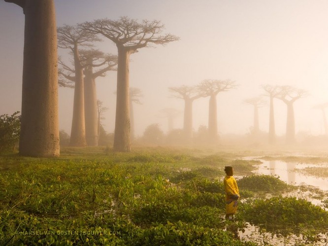 20 bức ảnh "có hồn" nhất của National Geographic ảnh 8