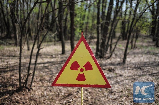 8 điều có thể bạn không biết về Chernobyl ảnh 6