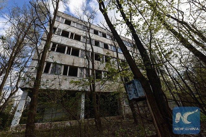 8 điều có thể bạn không biết về Chernobyl ảnh 12