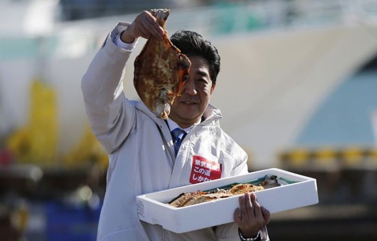 Thủ tướng Nhật "chọn cá" sau thảm hoạ rò rỉ phóng xạ Fukushima ảnh 1