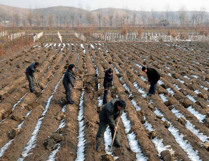 Triều Tiên: Sự khác biệt giữa cuộc sống ở Bình Nhưỡng và vùng nông thôn ảnh 2