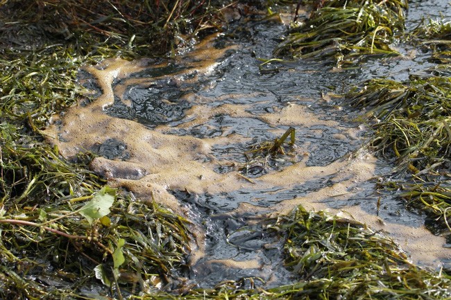 20 bức ảnh gây sốc về nguồn nước ô nhiễm trầm trọng ảnh 14