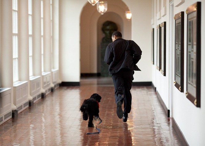 20 bức hình Tổng thống Obama muốn xem lại nhiều lần ảnh 8