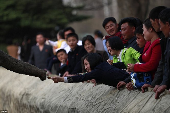 Những hình ảnh hiếm hoi về cuộc sống yên bình của trẻ em Triều Tiên ảnh 11