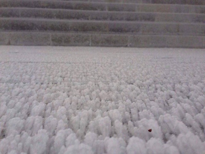 Fansipan huyền ảo băng tuyết trong nắng sớm khiến dân mạng sôi sục ảnh 7