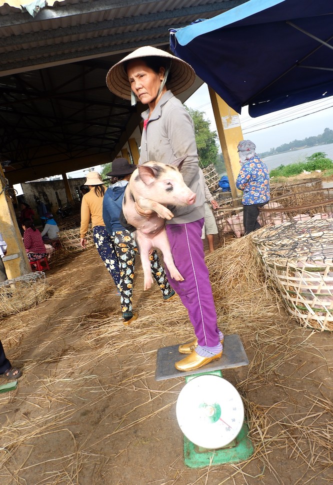 Thú vị khu chợ phụ nữ bồng heo độc nhất Việt Nam ảnh 4