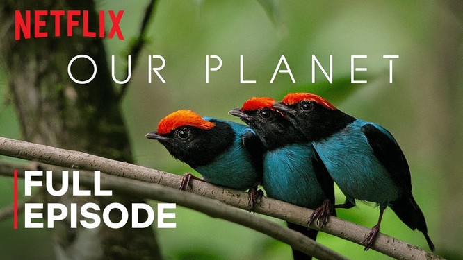 Netflix miễn phí 10 phim tài liệu phục vụ học tập mùa dịch COVID-19 ảnh 7